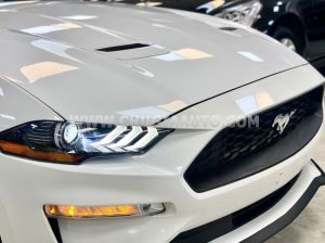 Xe Ford Mustang EcoBoost Fastback 2018