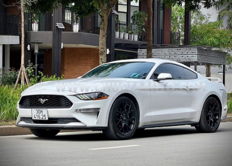 Ford Mustang EcoBoost Fastback 2018