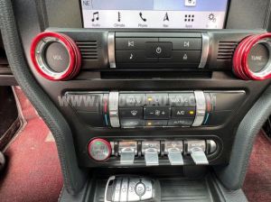 Xe Ford Mustang EcoBoost Fastback 2018