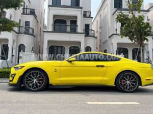 Xe Ford Mustang EcoBoost 2016