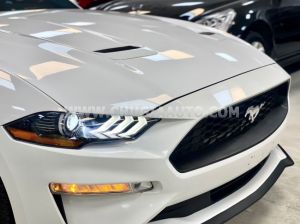 Xe Ford Mustang EcoBoost Fastback 2018