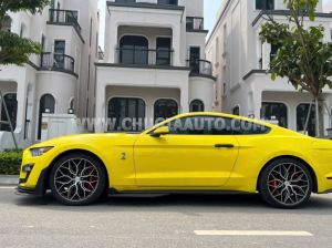 Xe Ford Mustang EcoBoost 2016