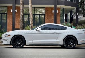 Xe Ford Mustang EcoBoost Fastback 2018