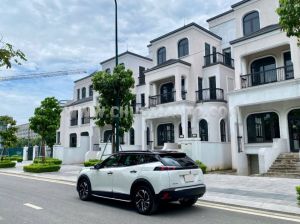 Xe Peugeot 2008 GT Line 1.2 AT 2021