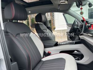 Xe Volkswagen Teramont X Platinum 2.0 AT 2025