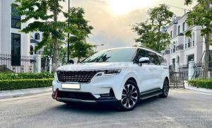 Xe Kia Carnival Signature 2.2D 2023