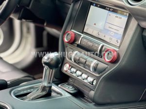 Xe Ford Mustang EcoBoost Fastback 2018